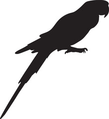 Parrot flat icon Vector silhouette