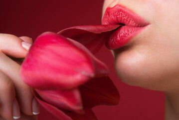 Plump sensual lips. lips with tulip flower. Sensual woman mouth, macro lip. Close up sensual red...