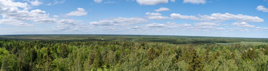panoram view of estonian landscape