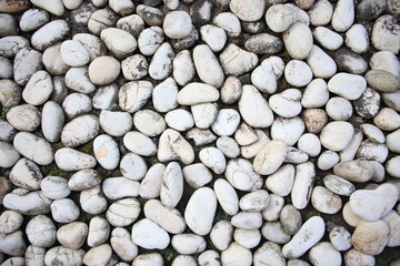 Flat lay white stones, coral stones. Nature concept