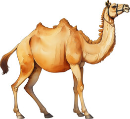 Watercolor animal camel, created with generative AI