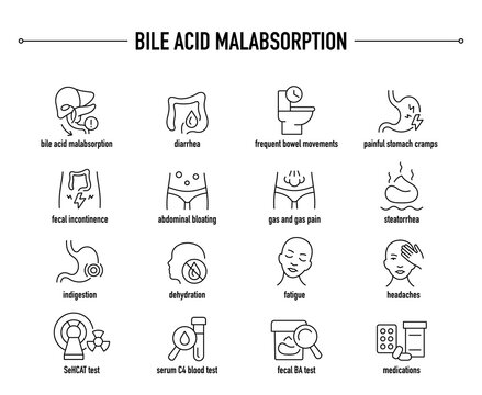 Bile Acid Malabsorption symptoms, diagnostic and treatment vector icon set. Line editable medical icons.
