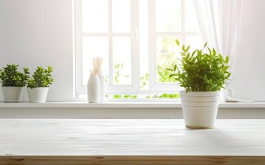 Fototapeta na wymiar House decor inspiration. Table with stylish pot and plant on modern interior table