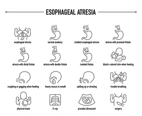 Esophageal Atresia symptoms, diagnostic and treatment vector icon set. Line editable medical icons.
