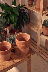 Houseplants and clay pots ready for new plants at home.
