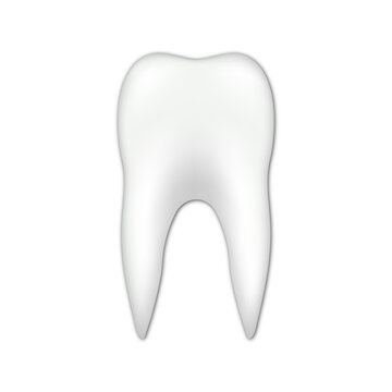 Vector realistic tooth icon illustration