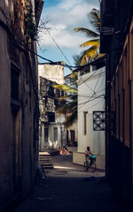 Man riding bicycle on narrow street between buildings, Zanzibar, Tanzania