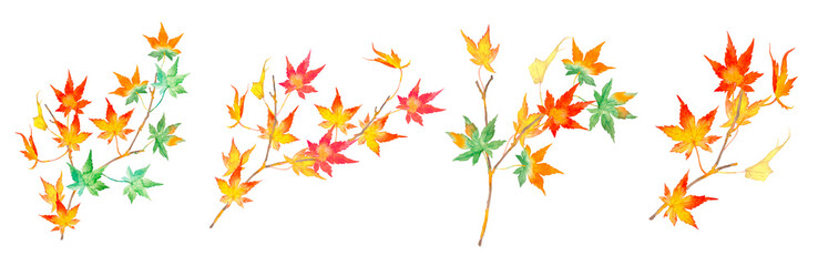 Fototapeta premium 秋の落葉樹のきれいで鮮やかな紅葉の水彩イラスト素材セット