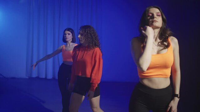 A group class of sexy dance on high heels with a coach is an exciting journey into the world of dance and female energy. High quality 4k footage