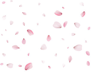 Flying Spring Cherry.