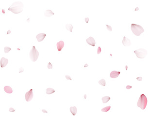 Flying Spring Cherry.