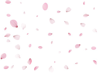 Flying Spring Cherry.