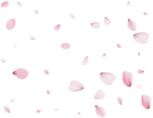 Flying Spring Cherry.