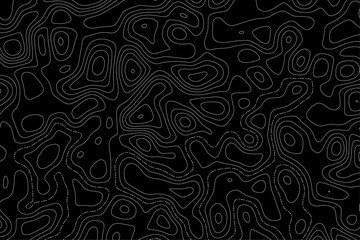 Topographic Map Vector Patterns. Topographic Maps can be used as backgrounds for brand projects, fabrics, packaging, fashion apparel, posters, wrapping paper and printouts.