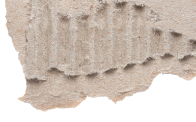 Isolated single piece of crumpled ripped blank brown cardboard paper isolated on white or transparent background
