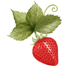 strawberries bunch in watercolor painting