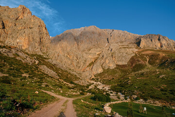 Hiking way to mountains landscape