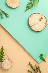 Fototapeta na wymiar Herbal natural products concept. High angle view photo of fern and eucalyptus branches and round wooden stands on beige and teal background with copy-space