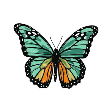 Beautiful colorful cartoon exotic vector isolated on white pastel green butterfly with colorful wings and antennae sticker 