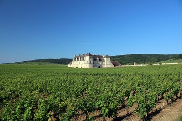 Fototapeta na wymiar Château du Clos de Vougeot, Burgundy/Bourgogne, France.