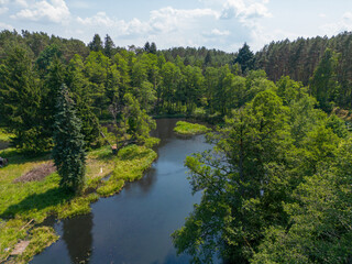 Fototapeta na wymiar Pliszka River - the wildest river in Poland, Lubuskie Voivodeship