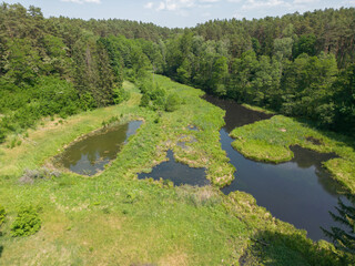Pliszka River - the wildest river in Poland, Lubuskie Voivodeship