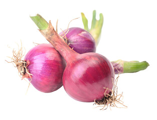 Red onion isolated on white background