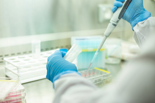 Cell culture experiments