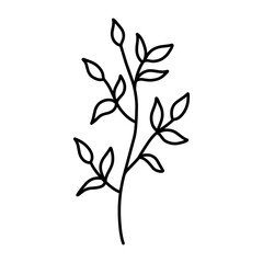 Cute branch with leaves isolated on white background. Vector hand-drawn illustration in doodle style. Perfect for cards, logo, decorations, various designs. Botanical clipart.