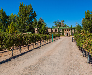 Spanish Architecture and Vineyard, Albuquerque, New Mexico, USA