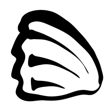 recommend clip art: Sea shell hand painted with brush stroke. Png clipart isolated on transparent background