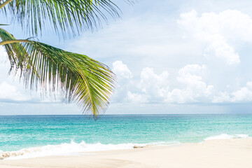 Fototapeta na wymiar Coconut trees with tropical summer beach and blue sky.