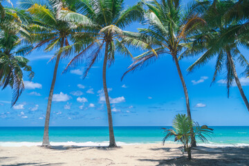 Obraz na płótnie Canvas Coconut trees with tropical summer beach and blue sky.