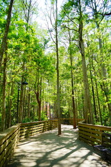 ORLANDO, FL, USA - 05 13, 2023: The University of Central Florida landscape