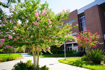 ORLANDO, FL, USA - 05 13, 2023: The University of Central Florida (UCF) building in spring	