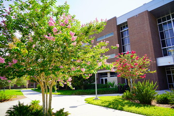 ORLANDO, FL, USA - 05 13, 2023: The University of Central Florida  (UCF) landscape