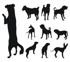 Sketch of black silhouettes of dogs in poses. Outline of pets go, standing, running, jumping, training, walking, guarding, posing, play, showing