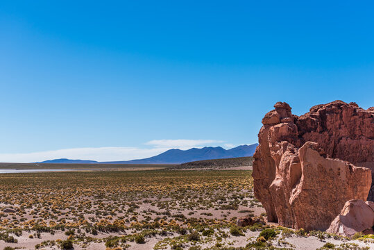 Landscape in the bolivian plateau