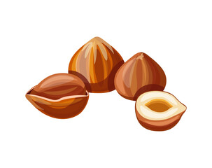 Hazelnut isolated on white background. Vector illustration of a tasty handful
 peeled and whole hazelnuts in cartoon style. Hazel icon. Healthy, organic snacks.