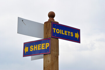 Close Up of Outdoor Wooden Direction Sign  'Sheep and Toilets' 