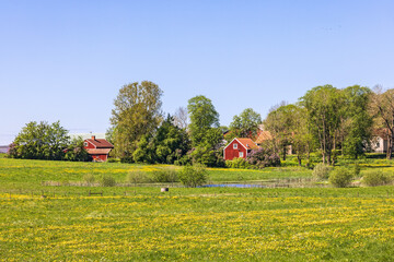 Plakat Flowering meadow with cottages in the countryside