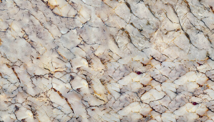 Large wide beige ornamental marble slab texture