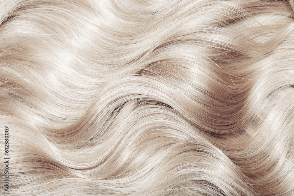 Wall mural blond hair close-up as a background. women's long blonde hair. beautifully styled wavy shiny curls. 