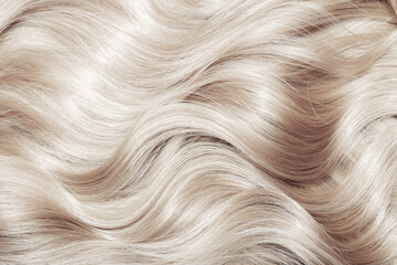 Blond hair close-up as a background. Women's long blonde hair. Beautifully styled wavy shiny curls. Hair coloring. Hairdressing procedures, extension. White hair - obrazy, fototapety, plakaty