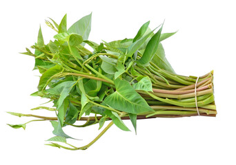 Water spinach transparent png