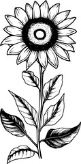 Sunflower Line Art Vol.21