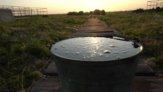 There is an iron bucket full of oil on the field.