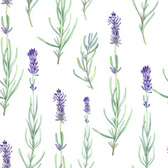 Fototapeta na wymiar Seamless patterns with french provence lavender, vintage floral elements. Digital papaer. Stock illustration on a white background. Hand painted in watercolor.