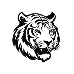 head of a tiger vector illustration angry tiger