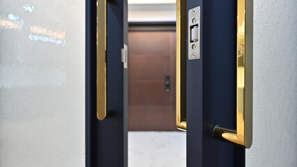 A luxurious interior was created by installing a handle in gold color, the contrasting color, on the blue door.